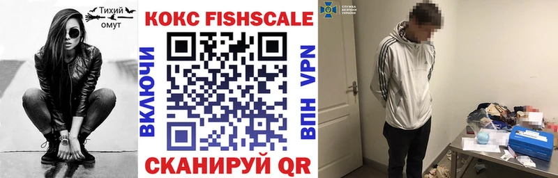 КОКАИН FishScale  Купить где  Кисловодск
