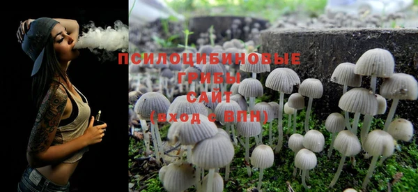 ПСИЛОЦИБИНОВЫЕ ГРИБЫ Карпинск