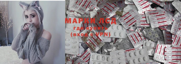 ПСИЛОЦИБИНОВЫЕ ГРИБЫ Карпинск